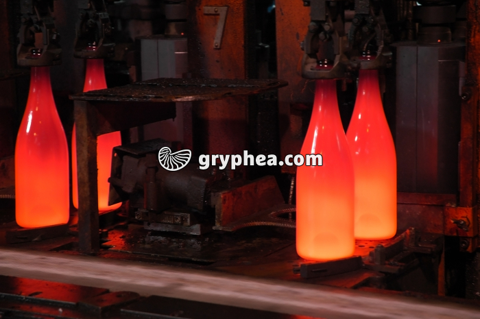 Mise en fome des bouteilles de champagne et refroidissement - gryphea.com